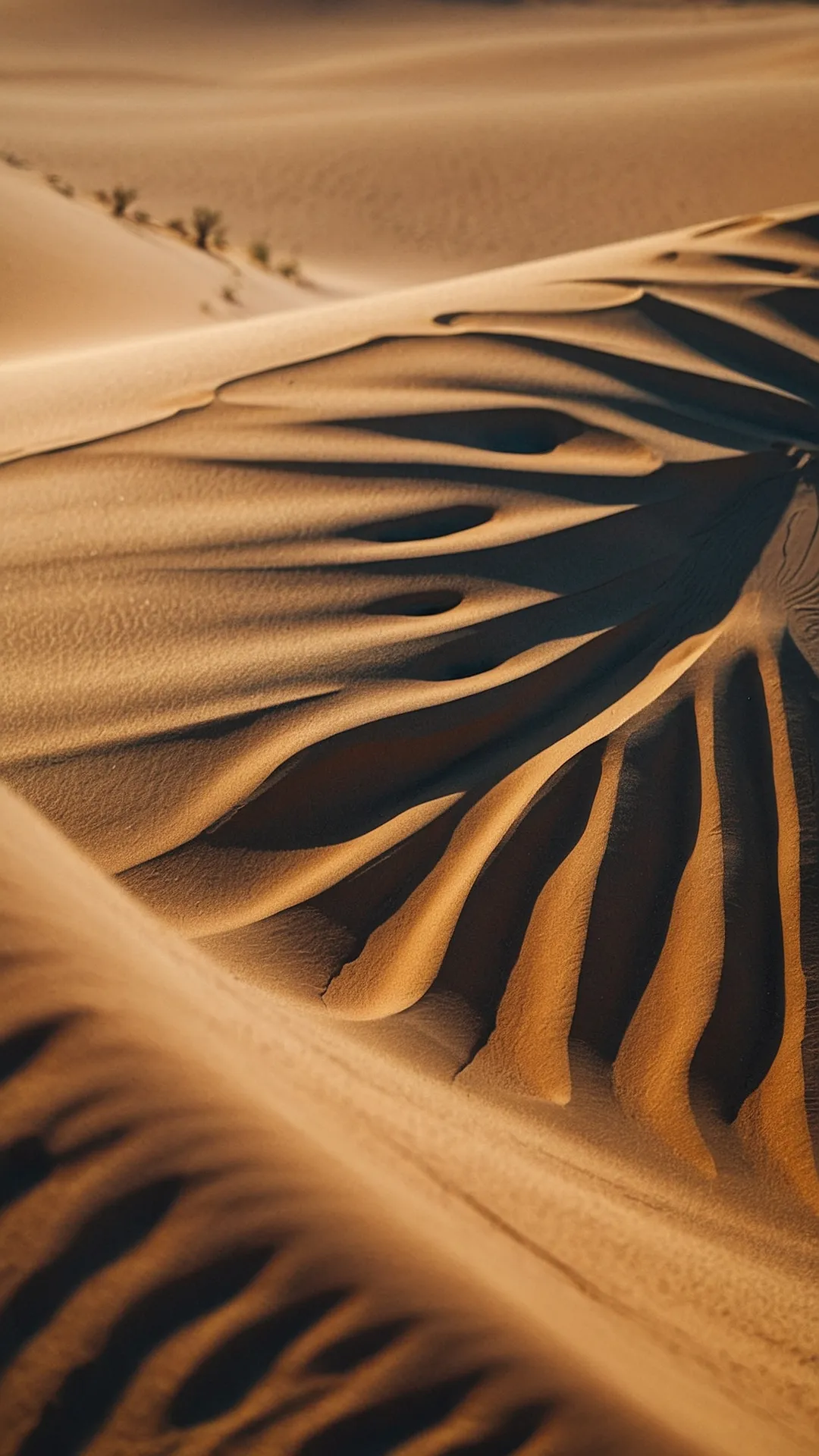 Dune-tastic Visions