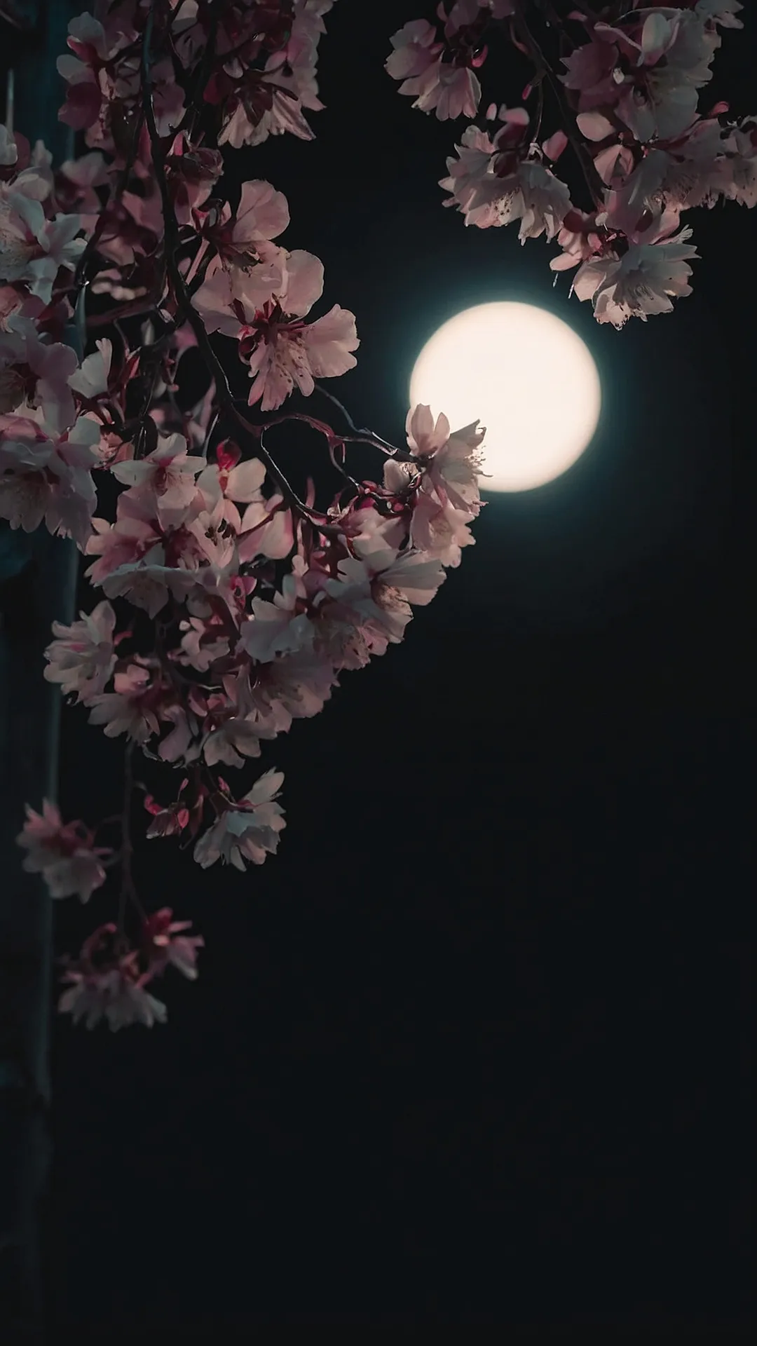 iPhone Blossom