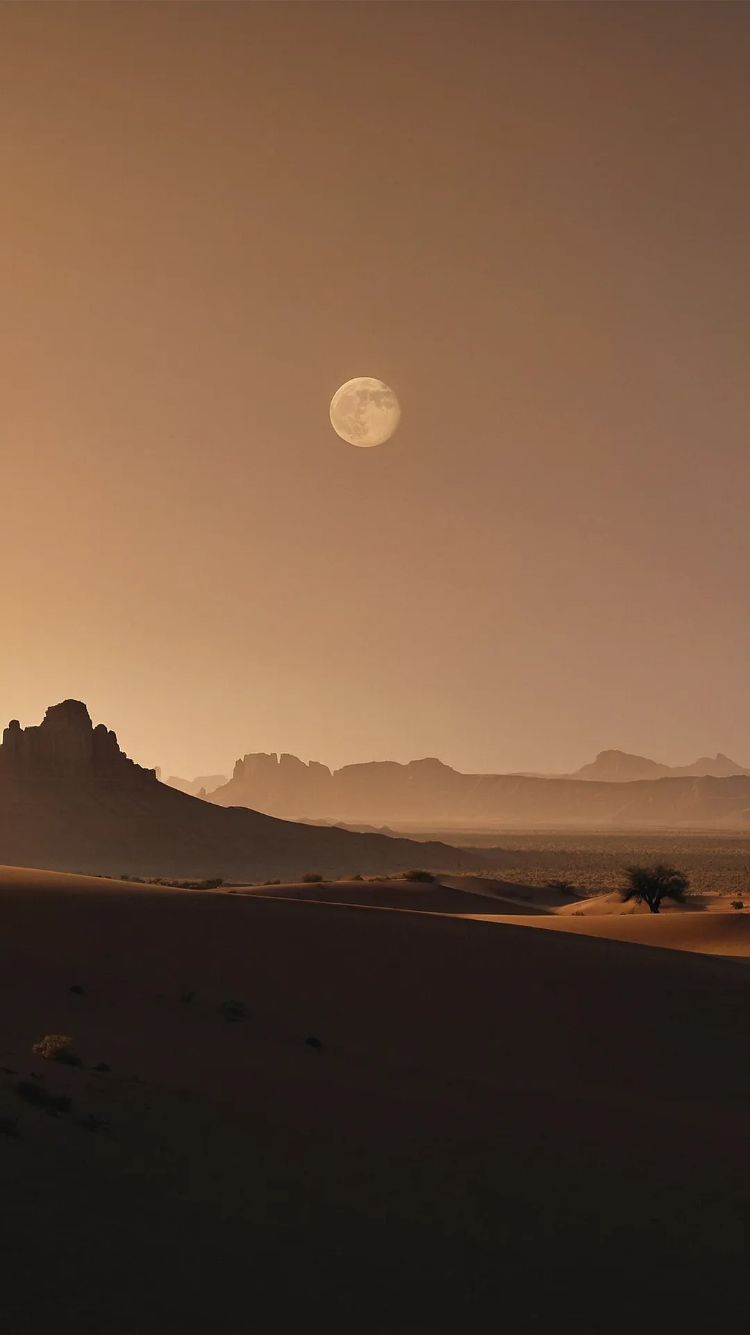 Desert Whispers