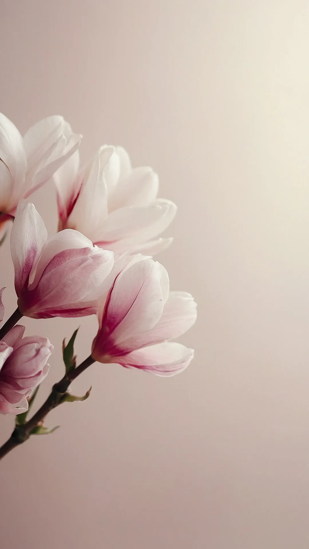 Botanical Buzz