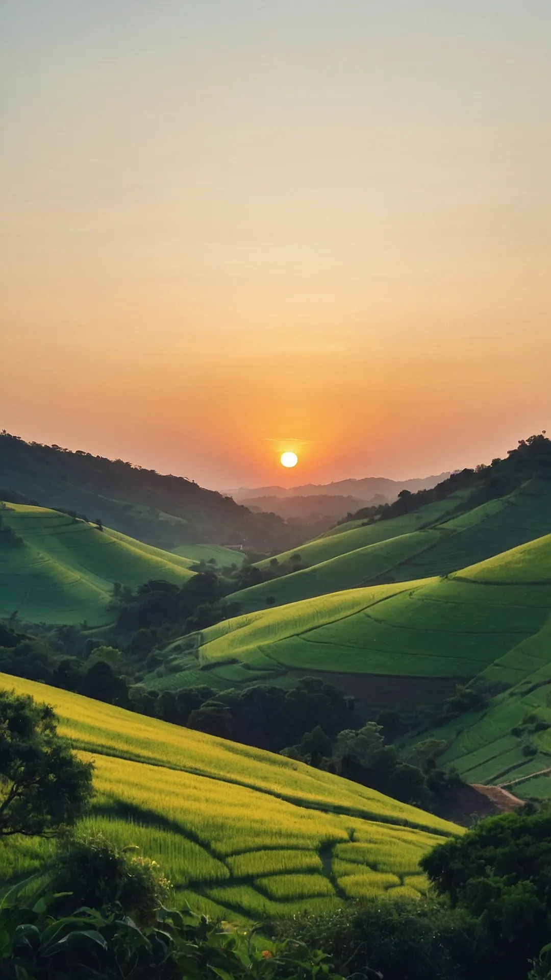 Sunrise Aroma