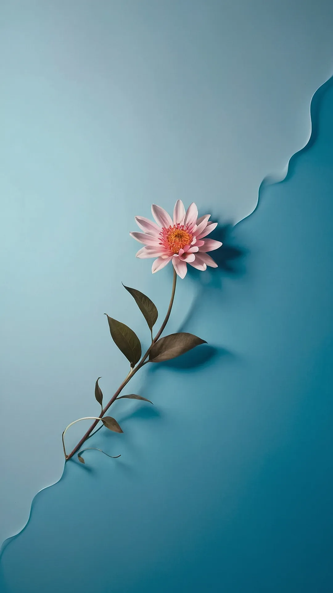 Floral Echo