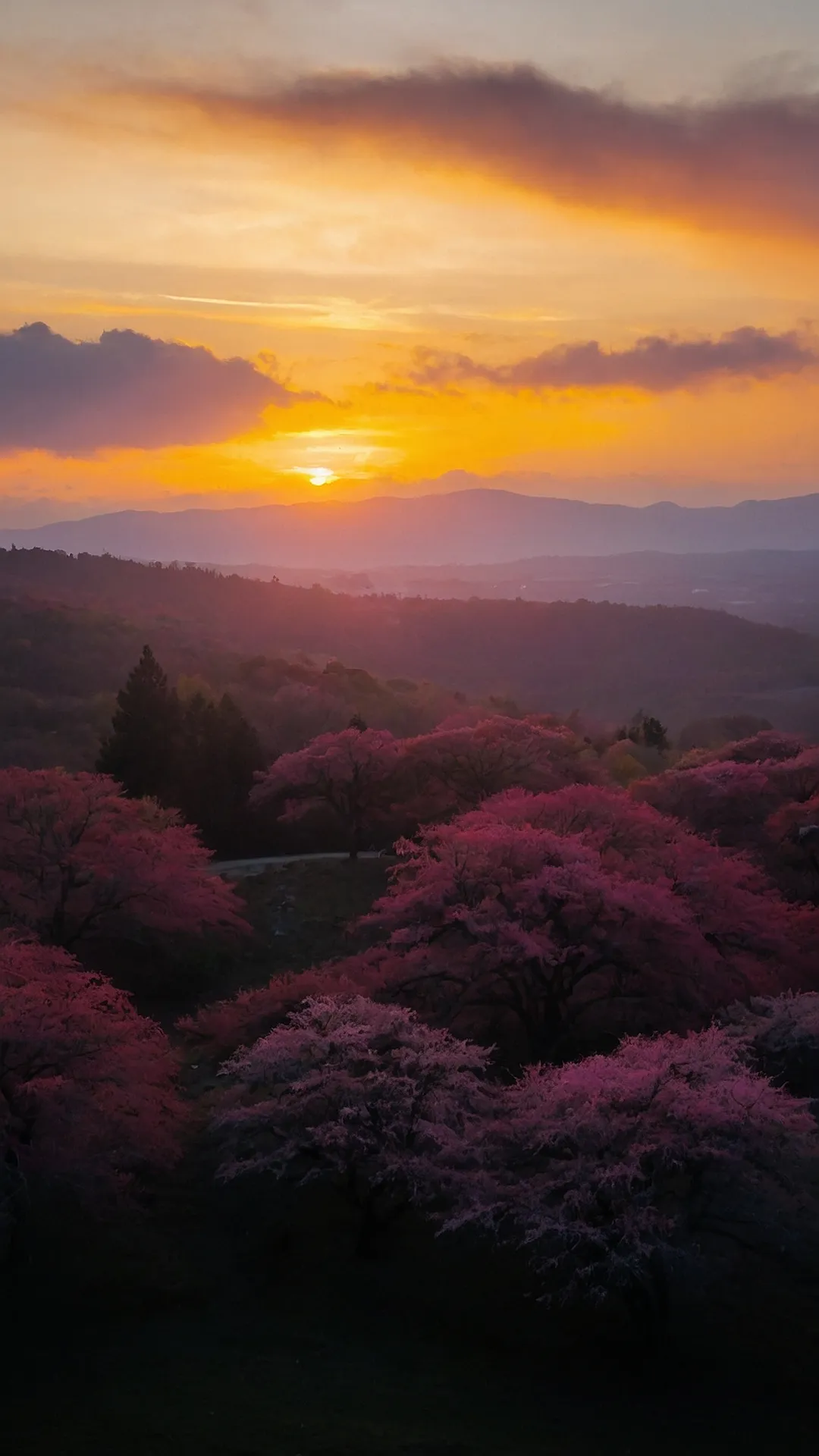 The Pink Treetop Party