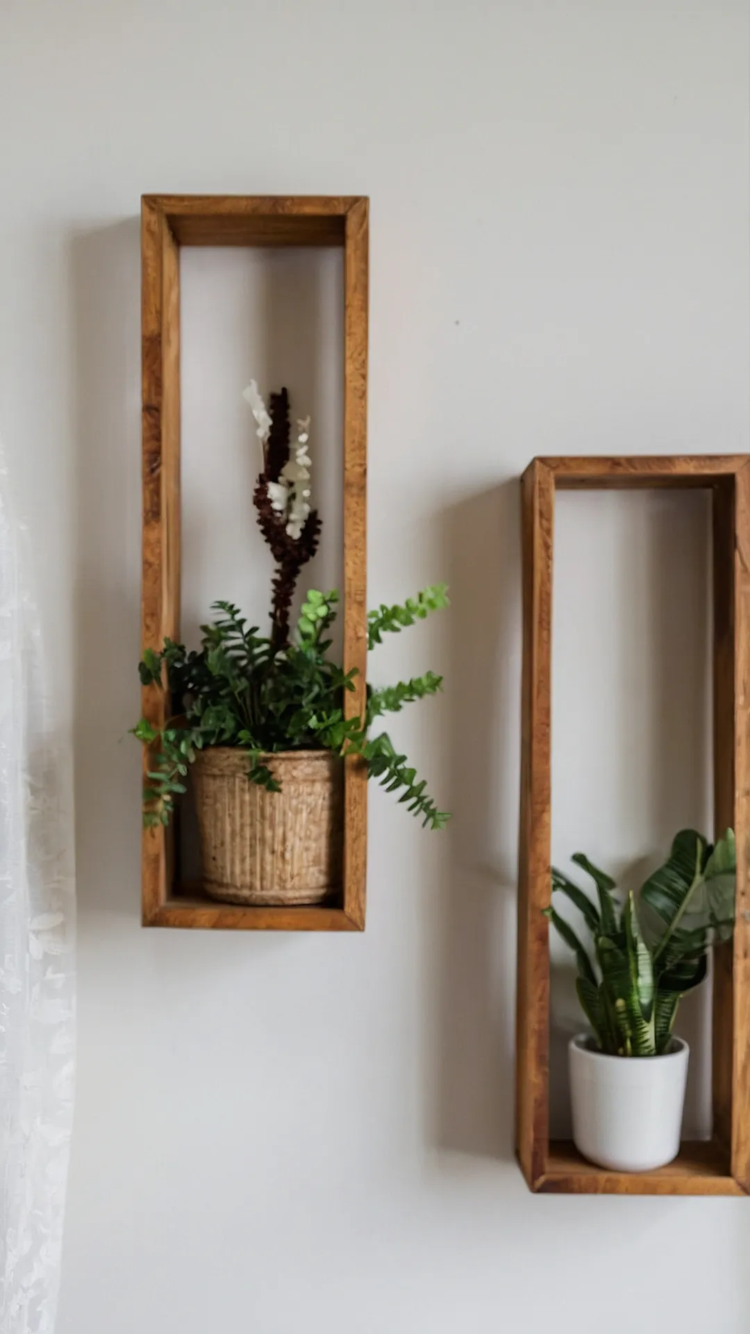 Groovy Shelves: Plant Paradise