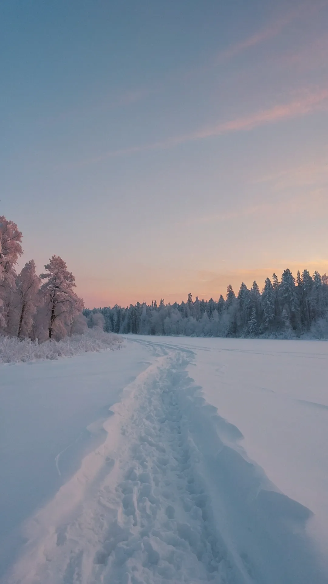 IceBloom: