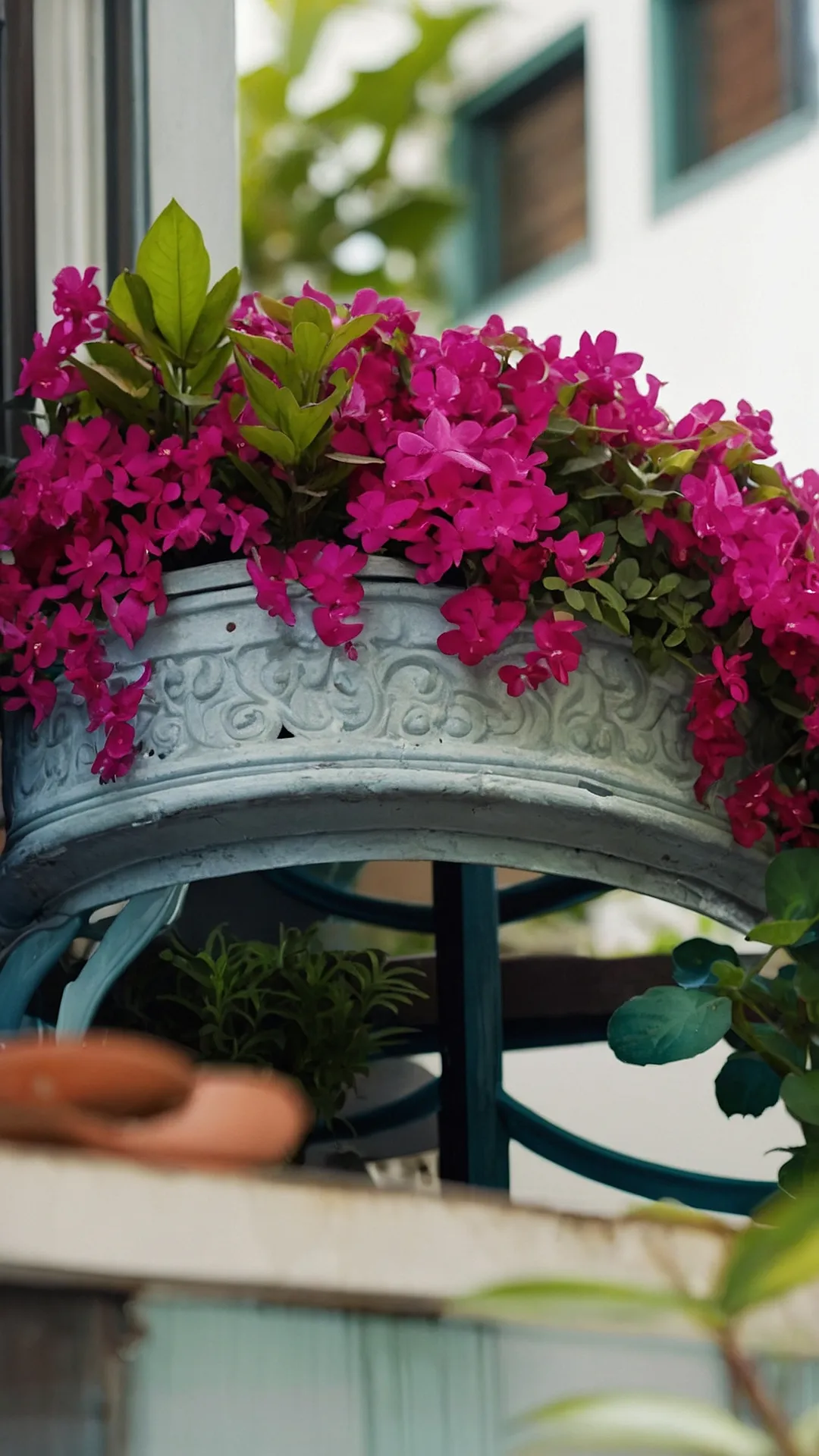 My Balcony, My Bloom: