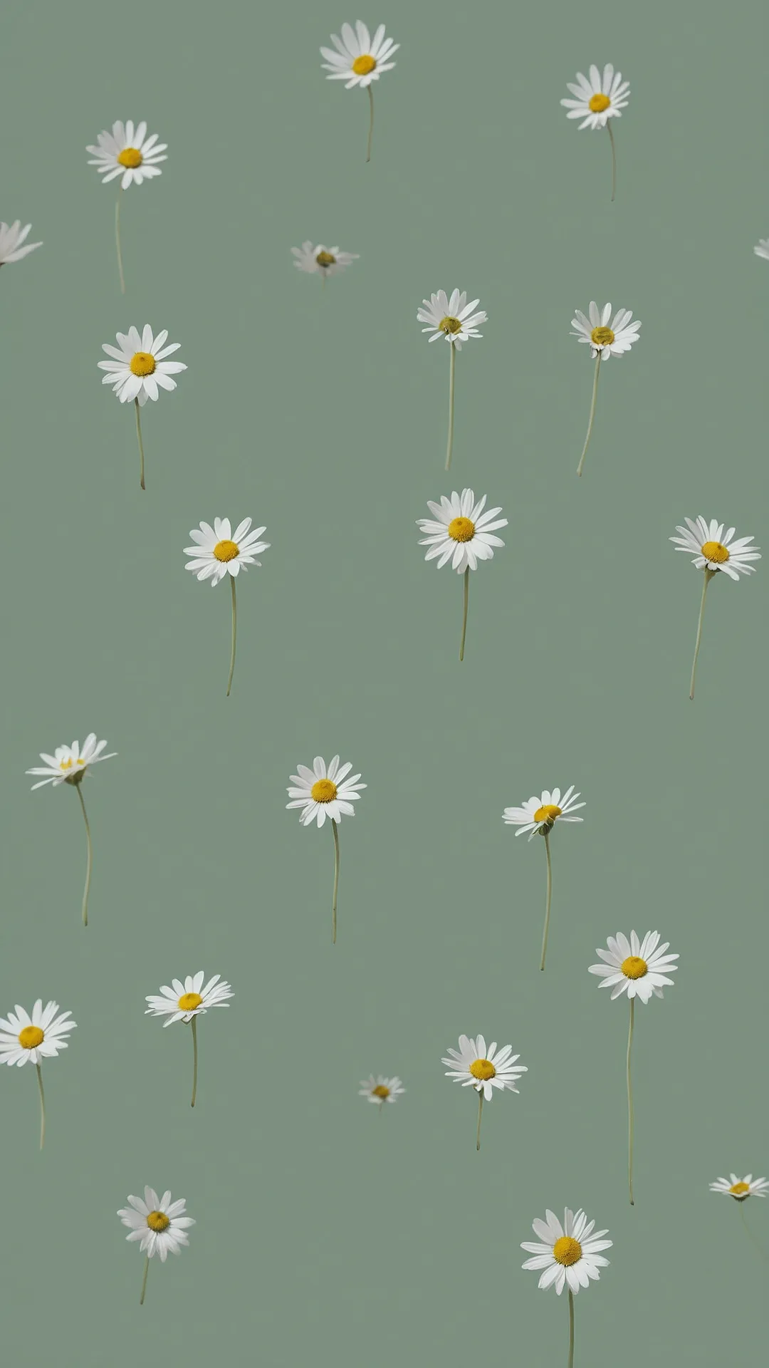 Gentle Screen Swirl