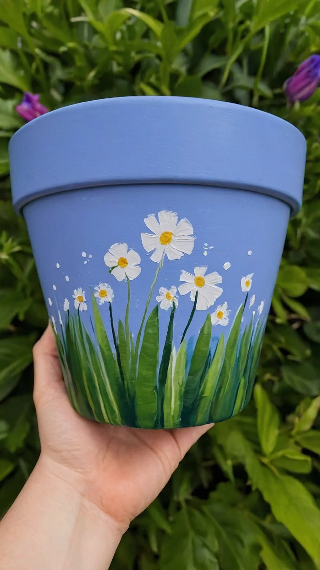 Daisy's Touch