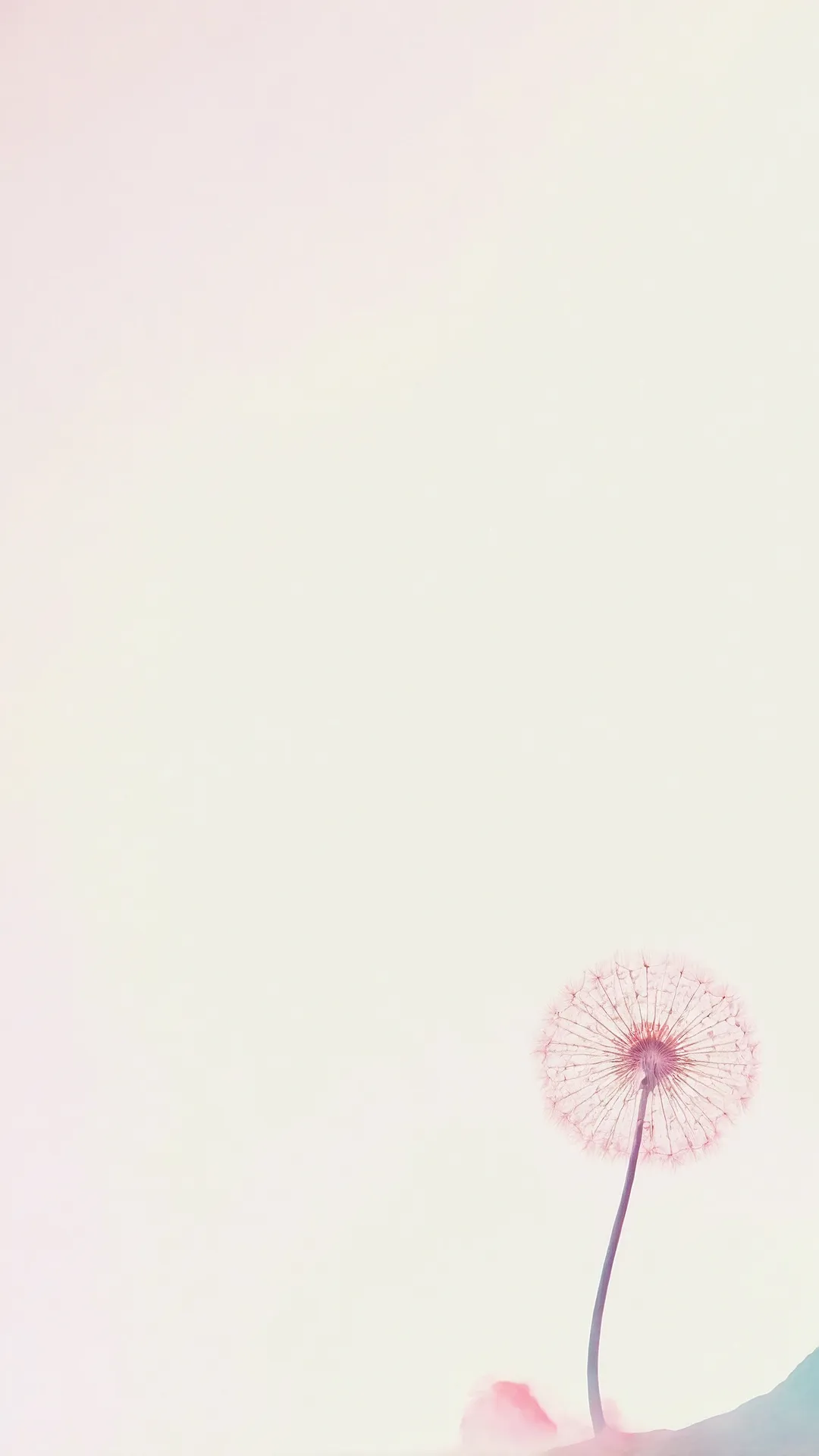 Daisy Dance Display