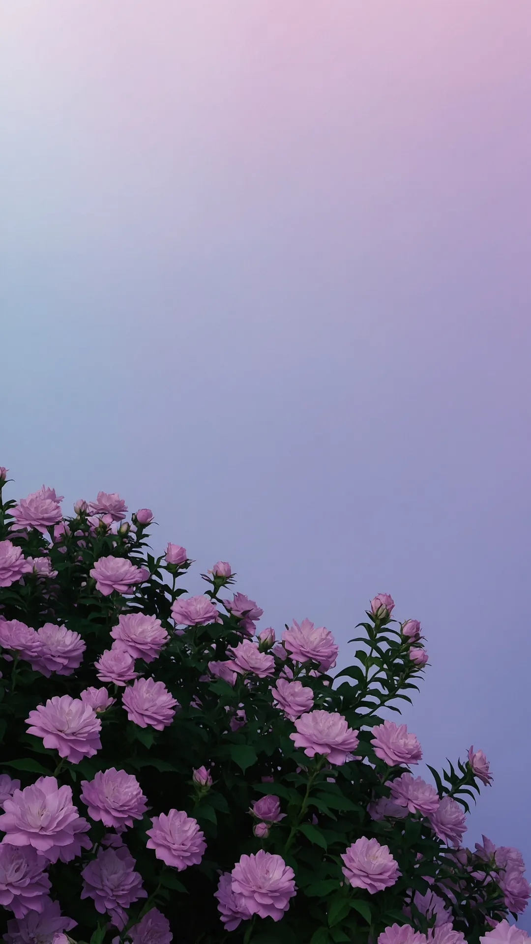 Uncluttered Canvas