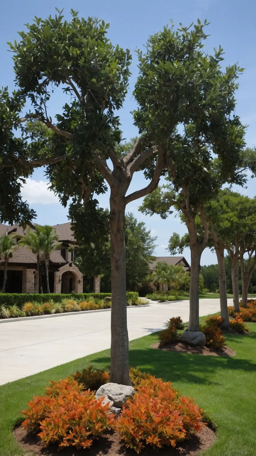 Step Up Your Landscaping Game with These Tree Base Ideas 40 Trunk Decor Styles