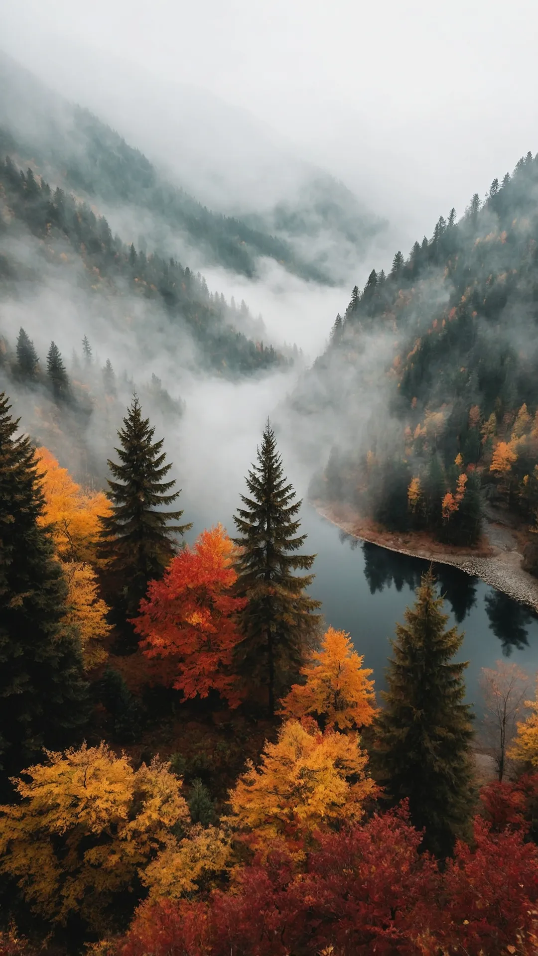 Fall in Love with Your Screen: 20 iPhone Wallpaper Ideas That Scream Autumn! 44 Crisp Autumn Views