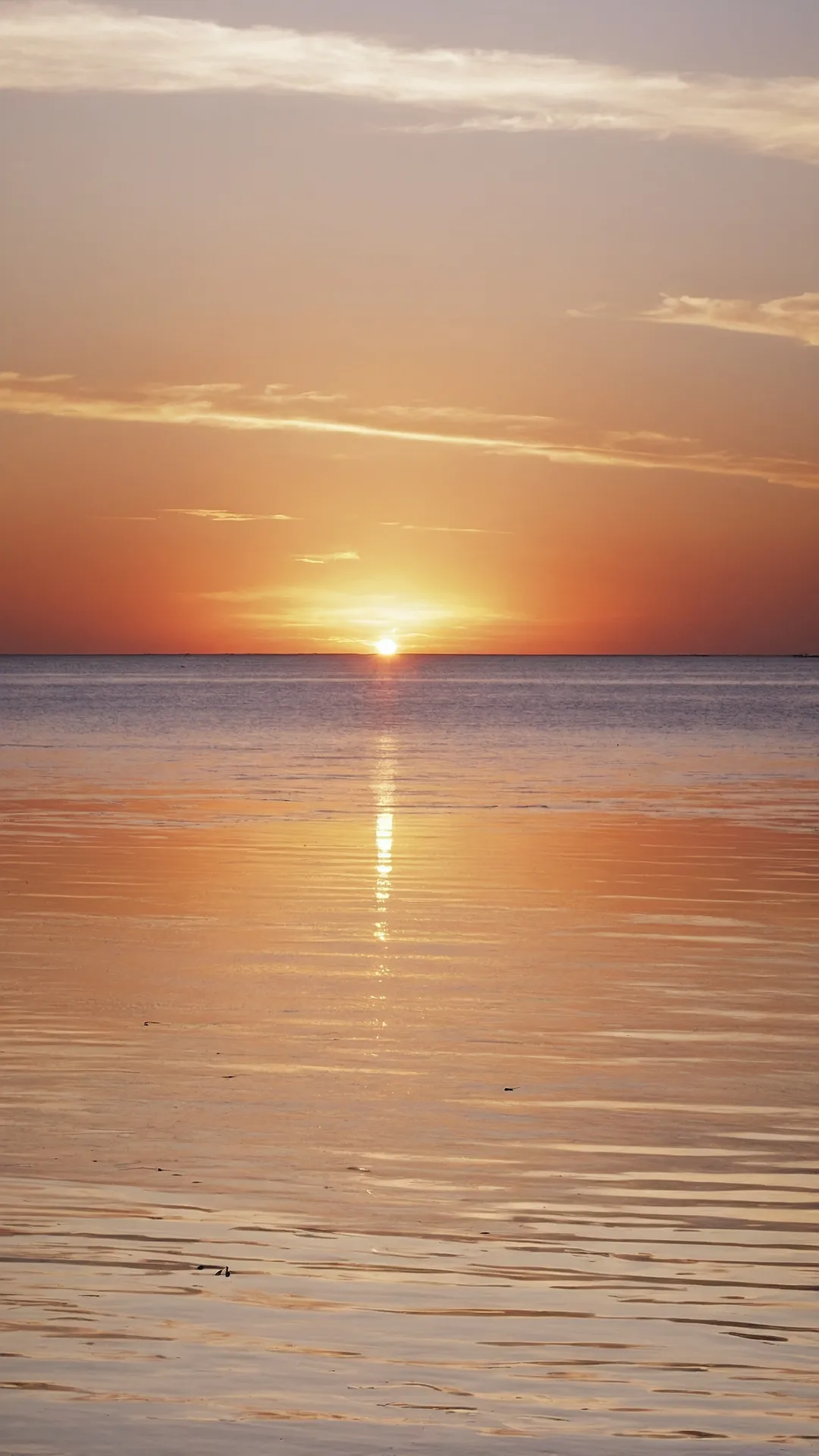 Radiant Screens: 19 Sunny Wallpapers to Cheer Up Your Aesthetic 39 Daily Screen Vitamin D