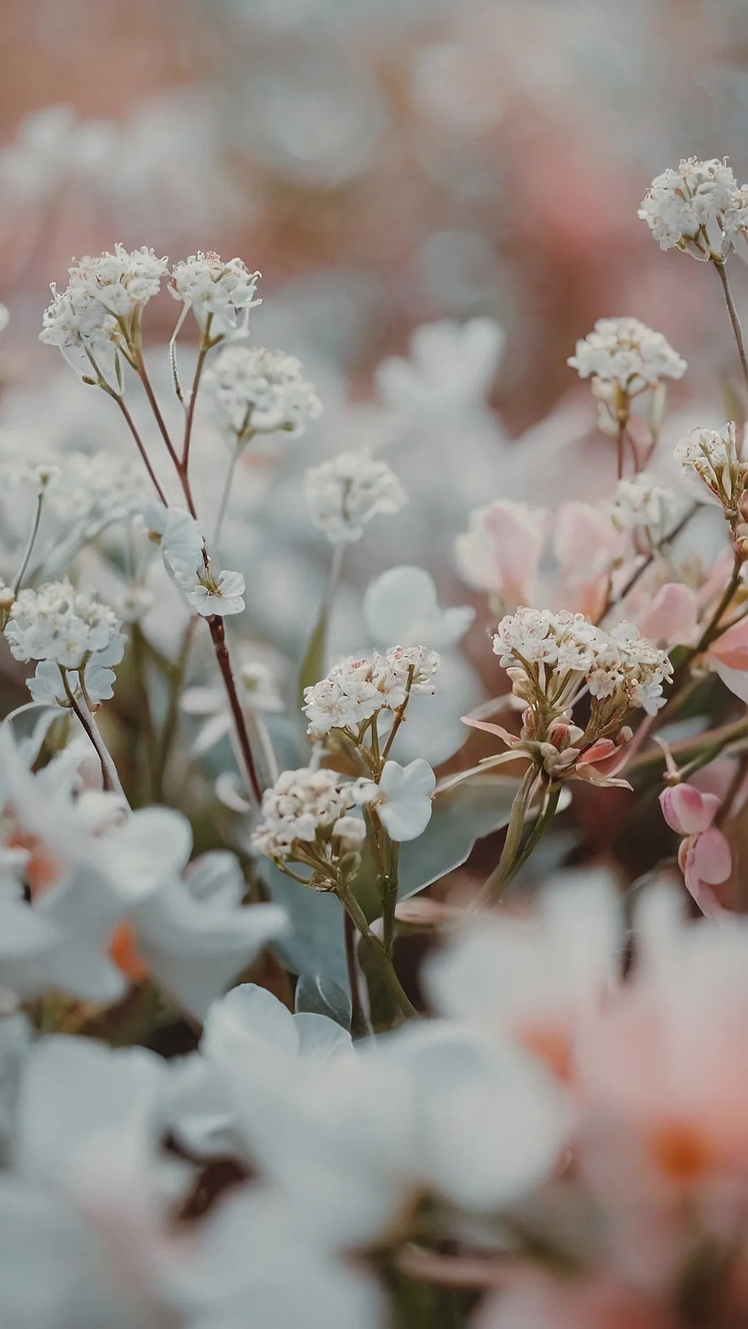 A Pink Paradise: 20 Cute Wallpapers to Elevate Your Screens 31 Whimsical Pink