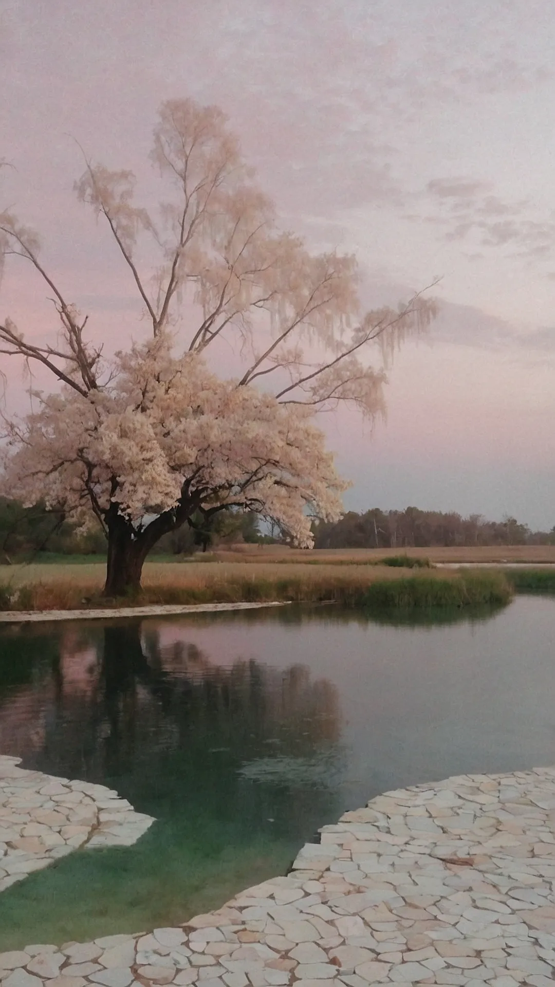 Laugh-Out-Loud Landscapes: