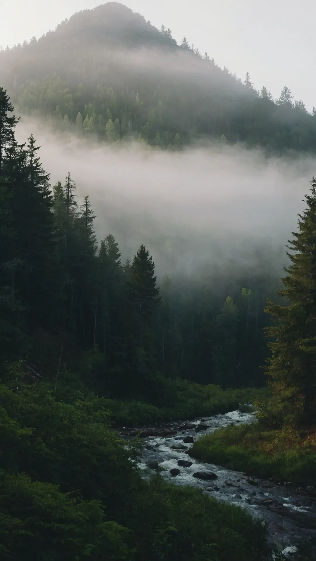 Envelop Yourself in Nature: 15 Misty Forest Wallpaper Ideas 44 Silver Stream's Song