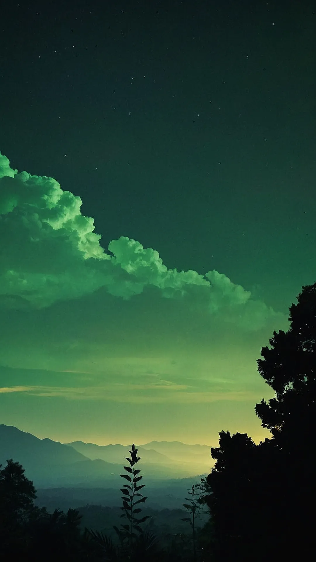 Embrace the Green: 15 Trendy Aesthetic Wallpapers You Need** ** 39 Viridian Tapestry