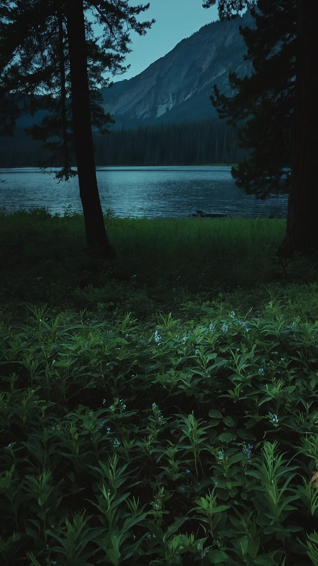 Lake Serenity Dreams