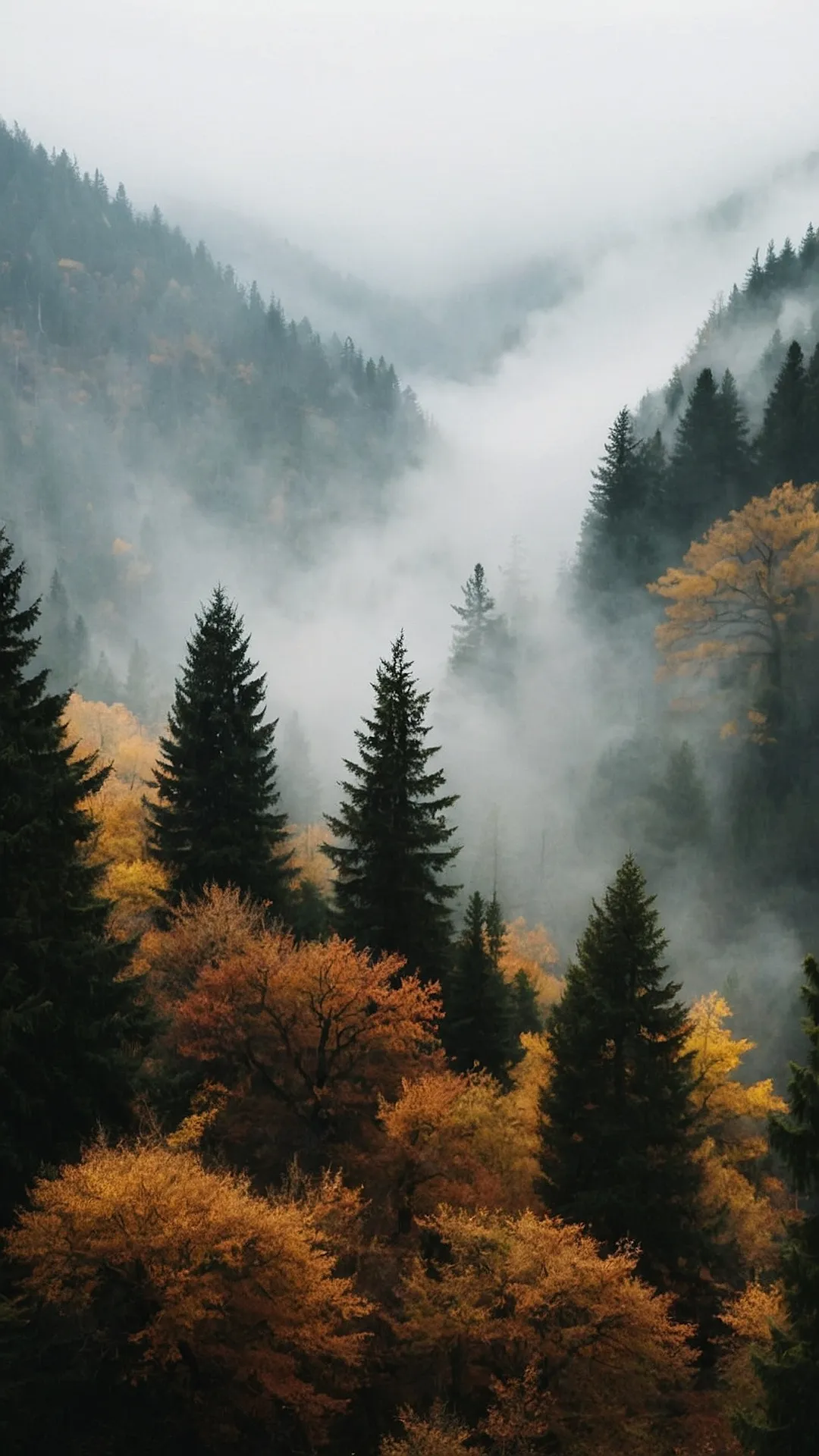 15 Nature Woods Ideas to Transform Your Home 38 Into the Woods We Go!