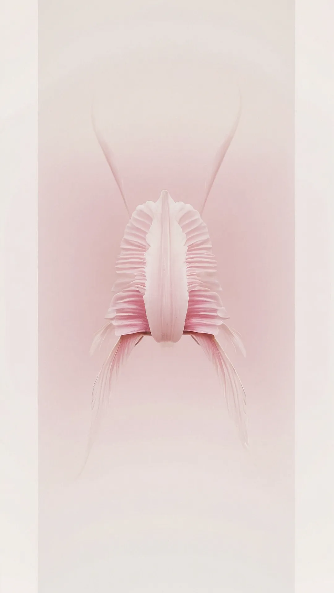 Pinkalicious Paradise