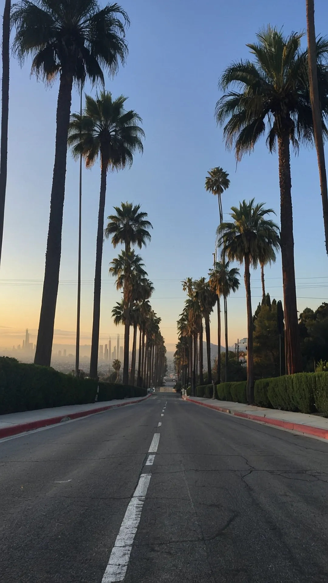 City Lights, Desert Bloom