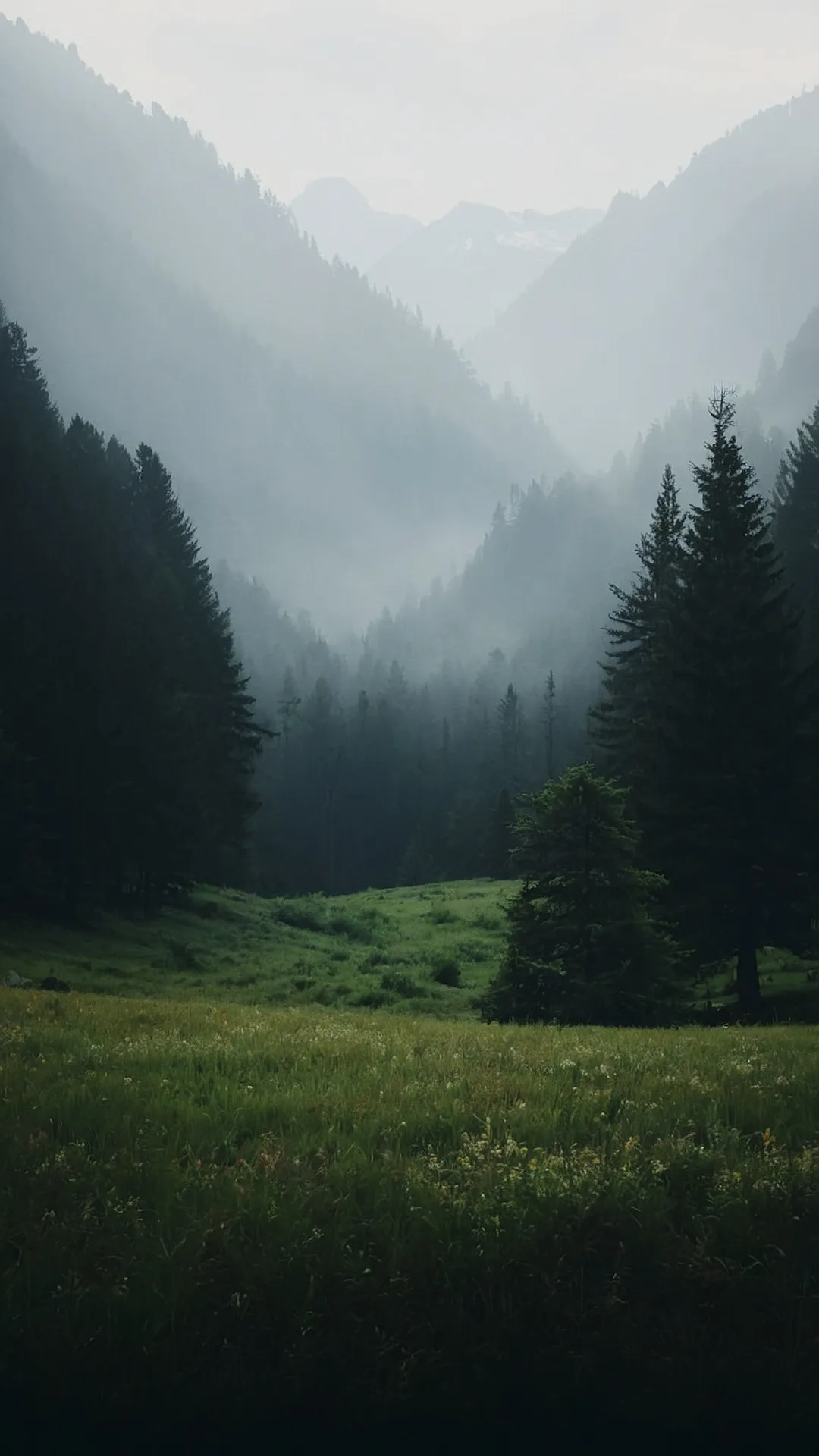 Serenity Found: Top 15 Wallpapers to Bring Calm to Your Screens 45 Misty Peak Tranquility