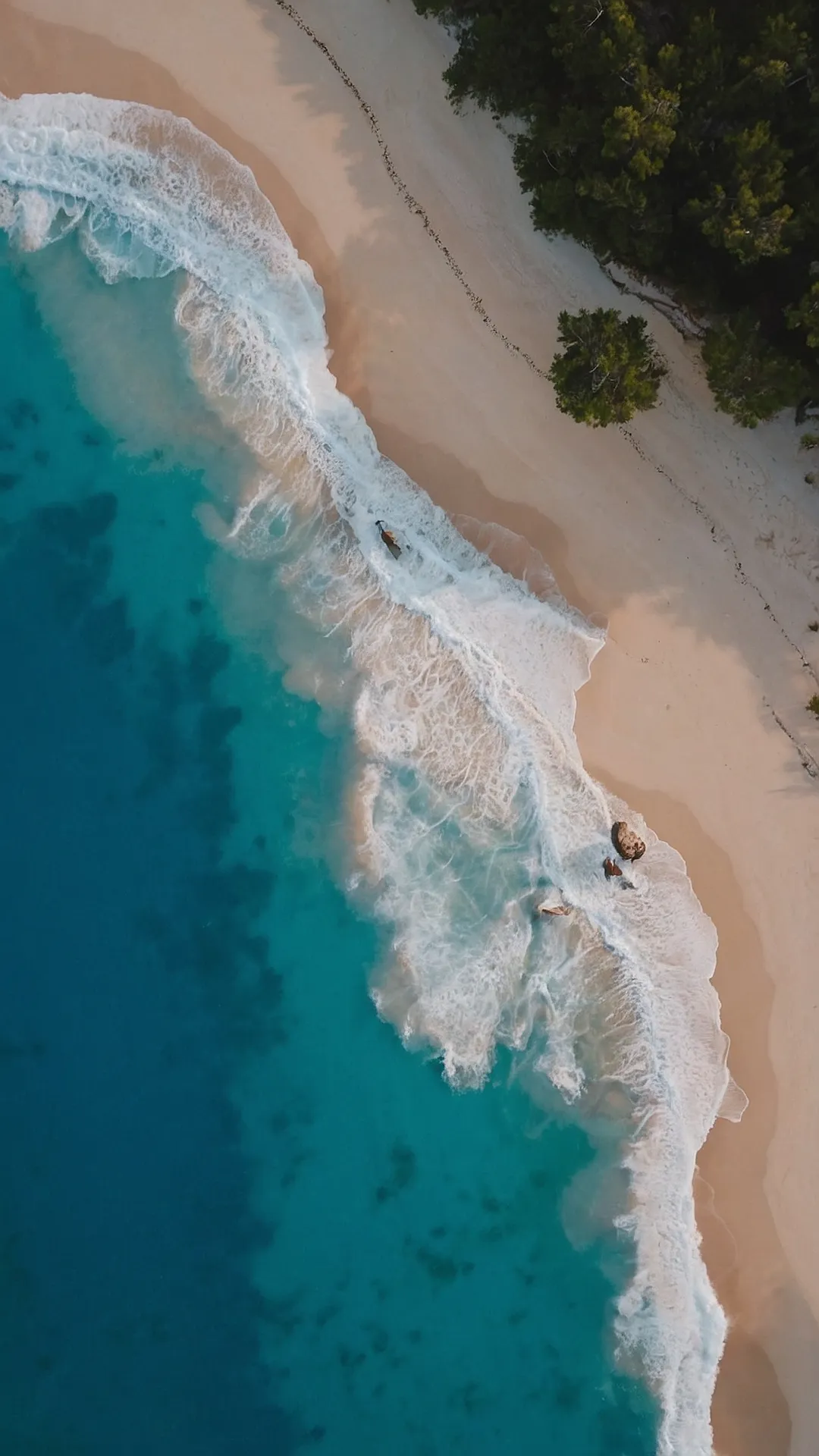 Shore Thing Paradise