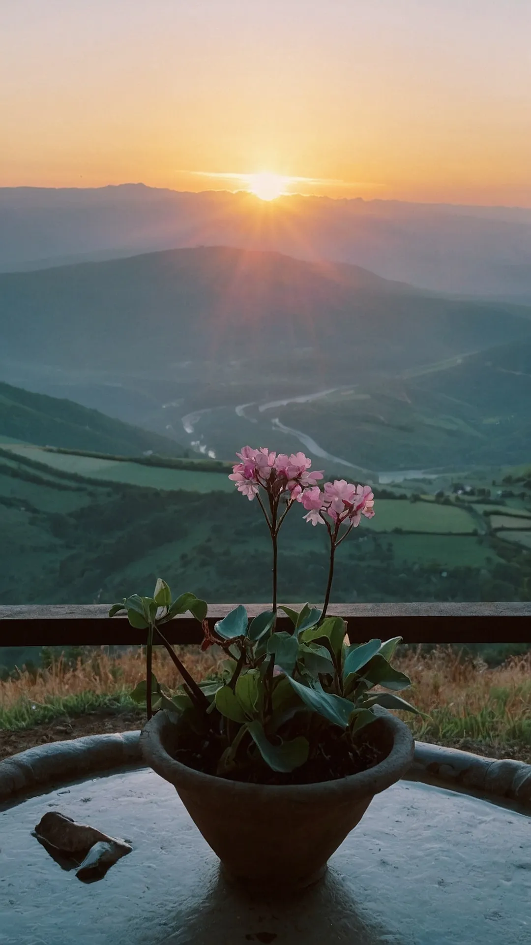 15 Aesthetic Places to Visit for Ultimate Inspiration 37 38 cheerlives echolane 20241002095816