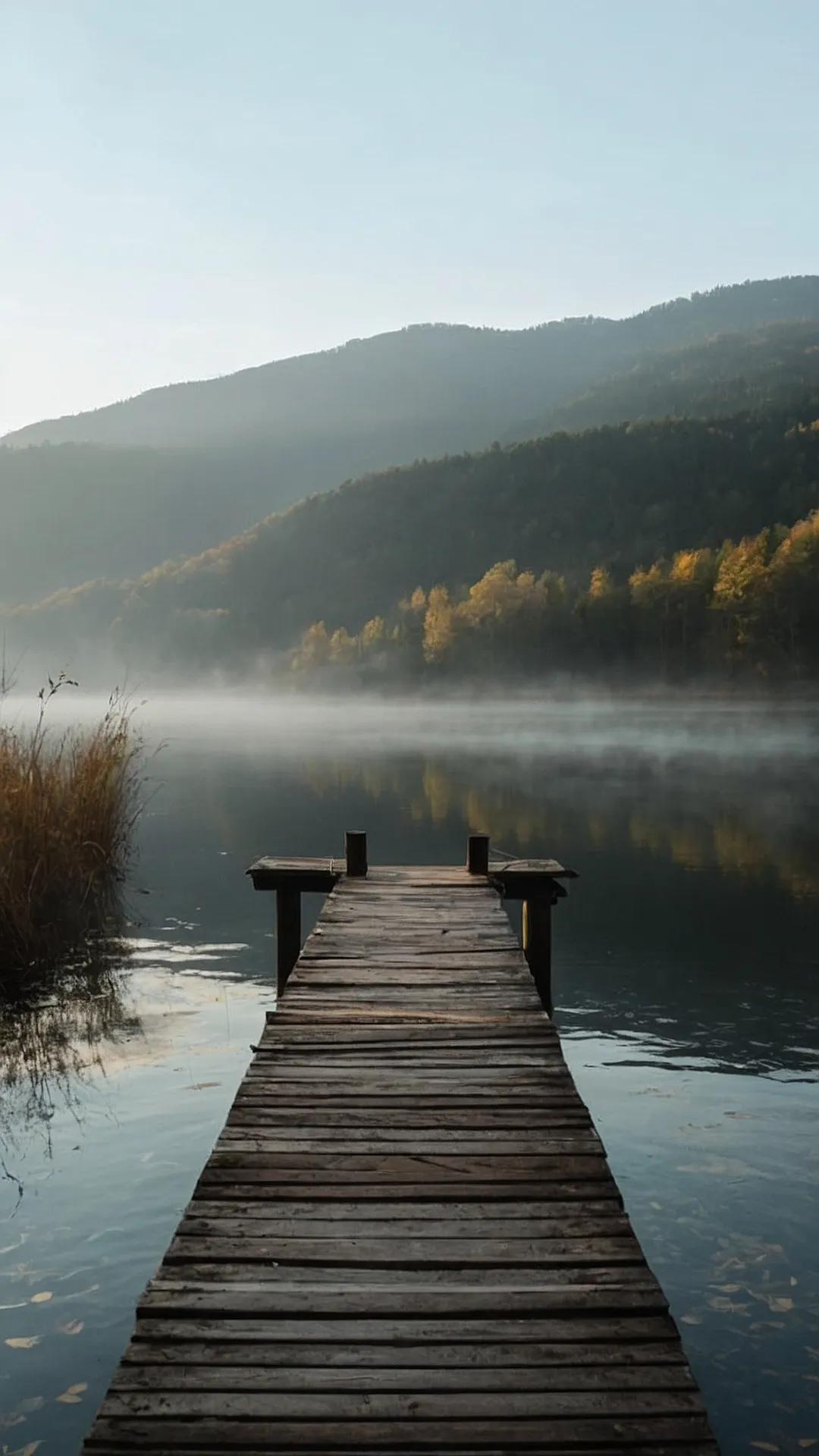 Misty Morning Calm