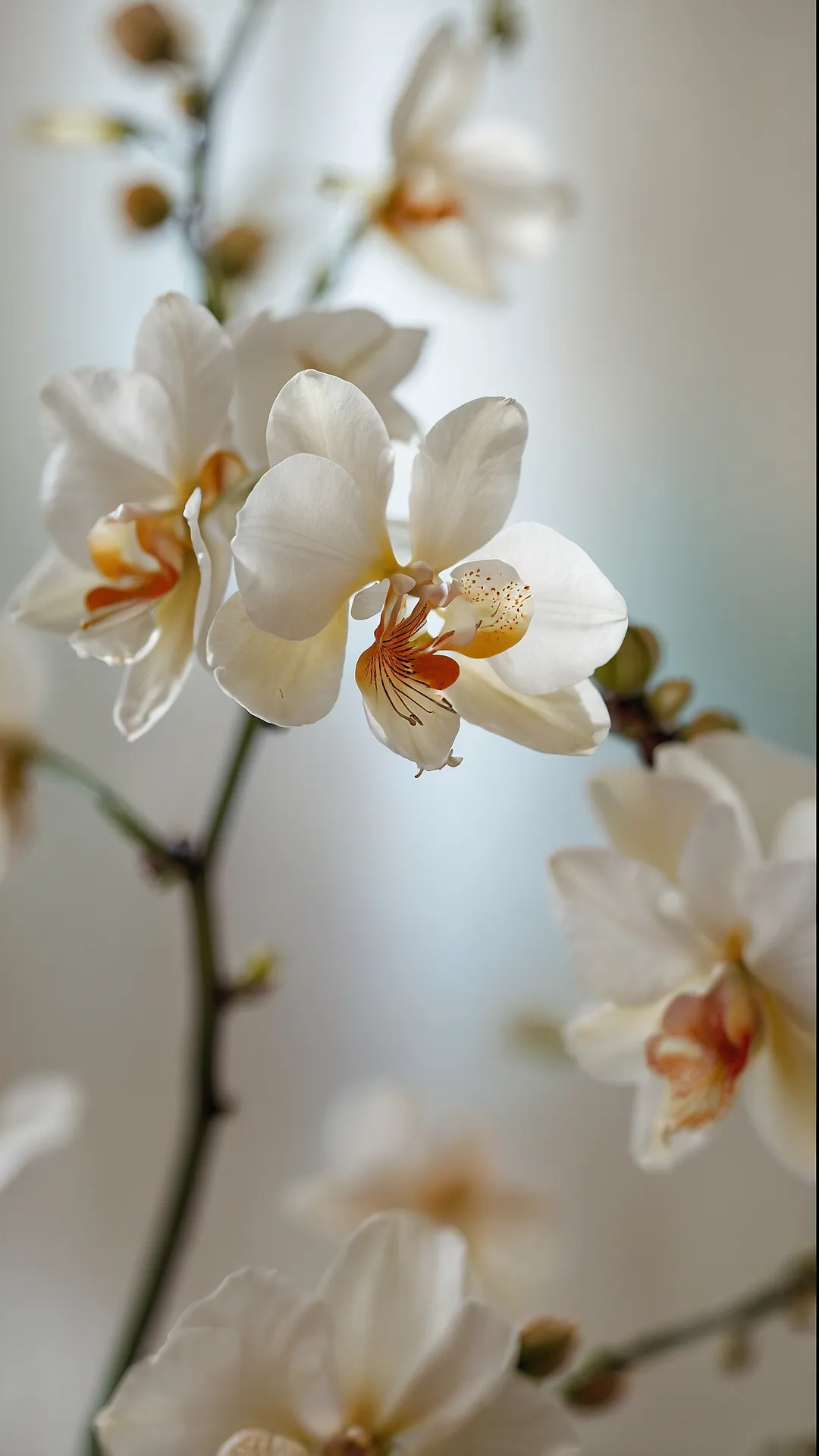 22 Artistic Wallpaper Ideas to Transform Your Space** ** 46 Bloom & Behold