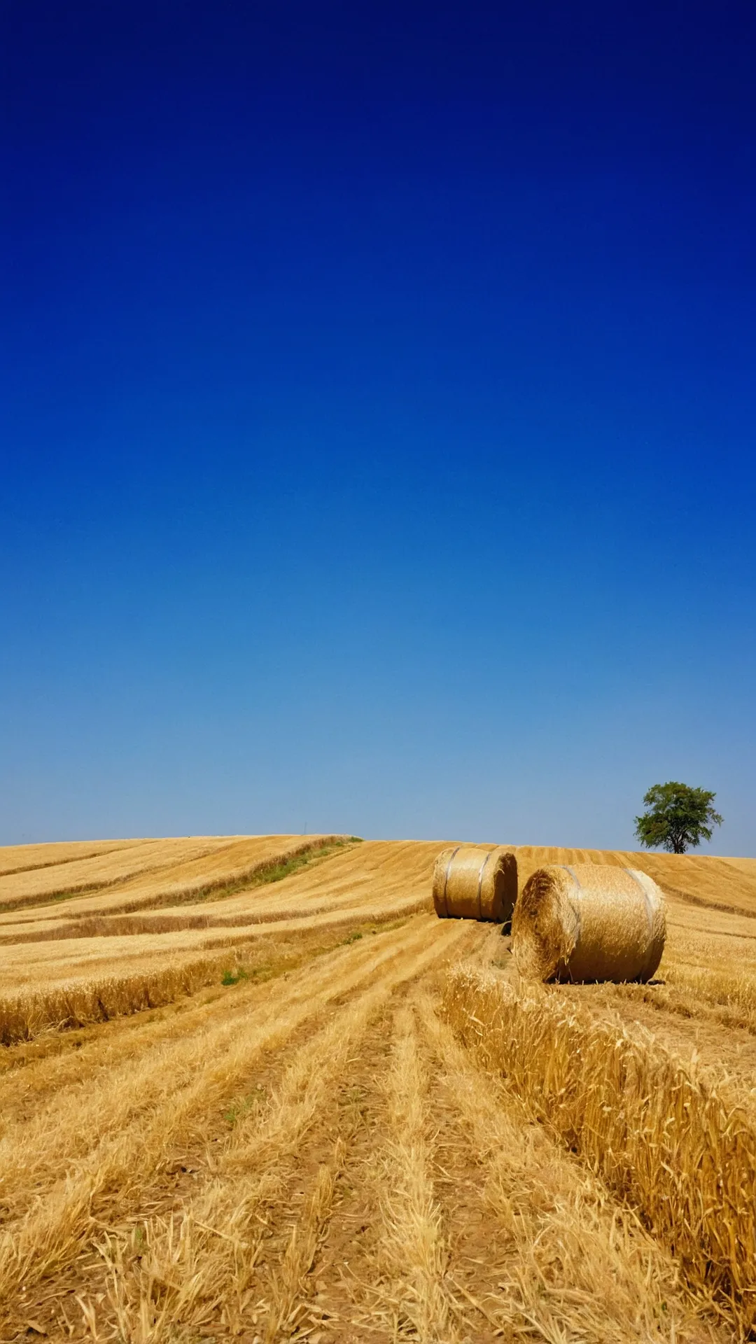 Capturing the Heart of the Earth: 15 Rural Photography Ideas 36 Countryside Chronicles