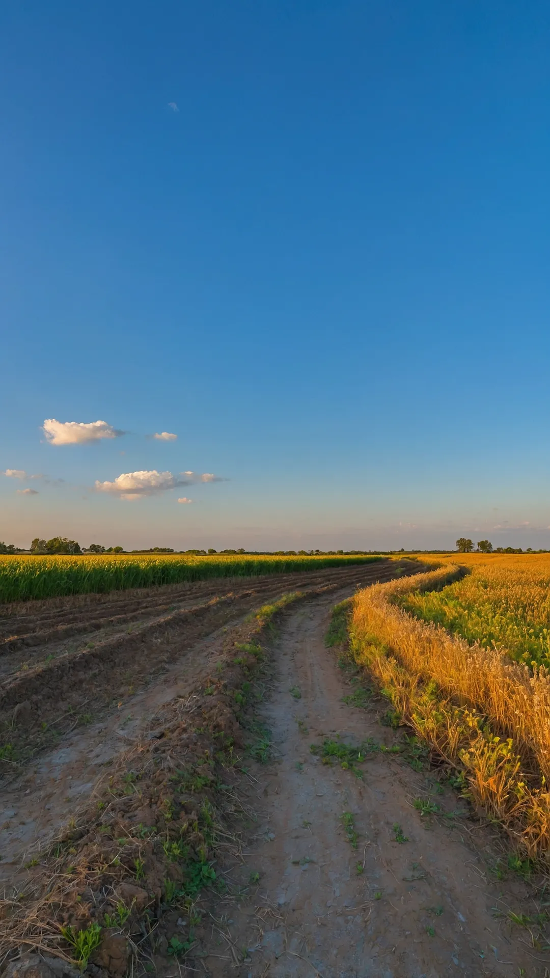 Capturing the Heart of the Earth: 15 Rural Photography Ideas 32 Hilltop Lens