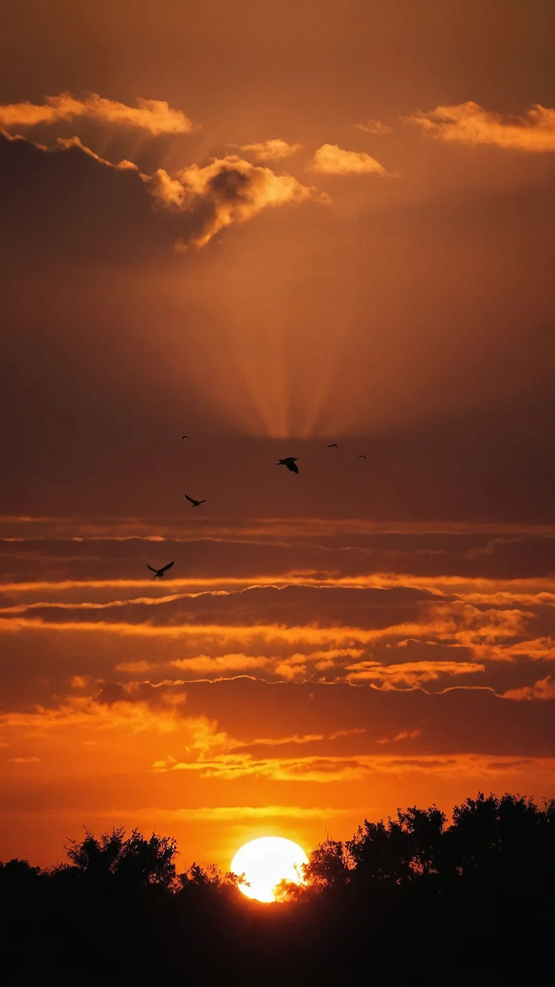 Sun-Kissed City Stroll