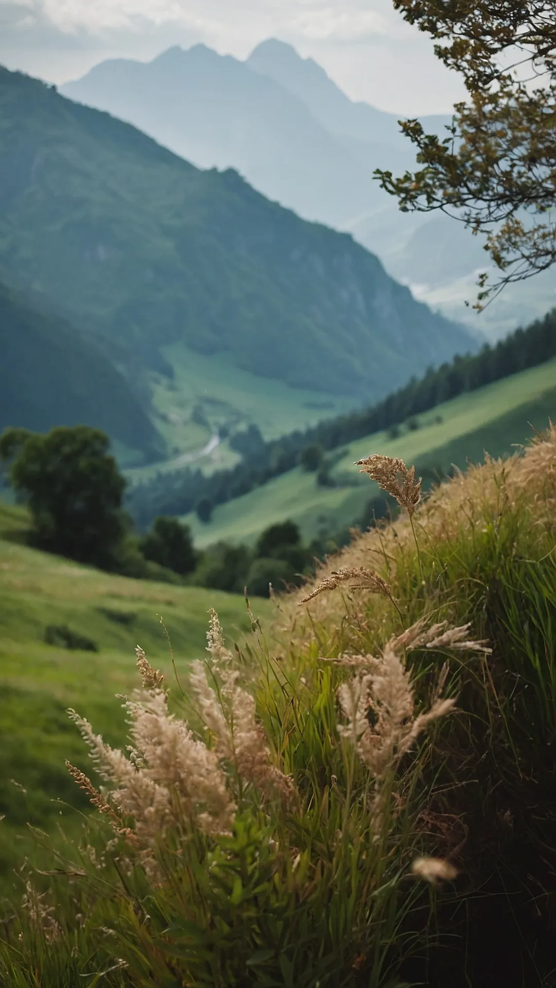 Enchanted Peakside: