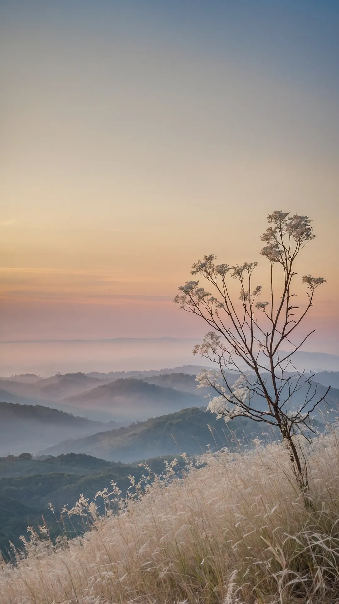 Chill Dawn View