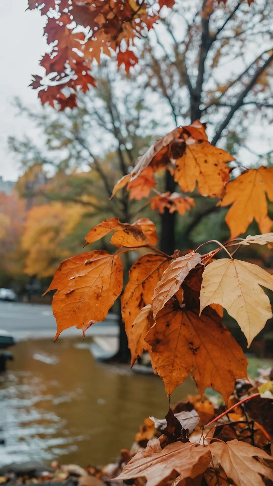 Leaf-tastic NYC: