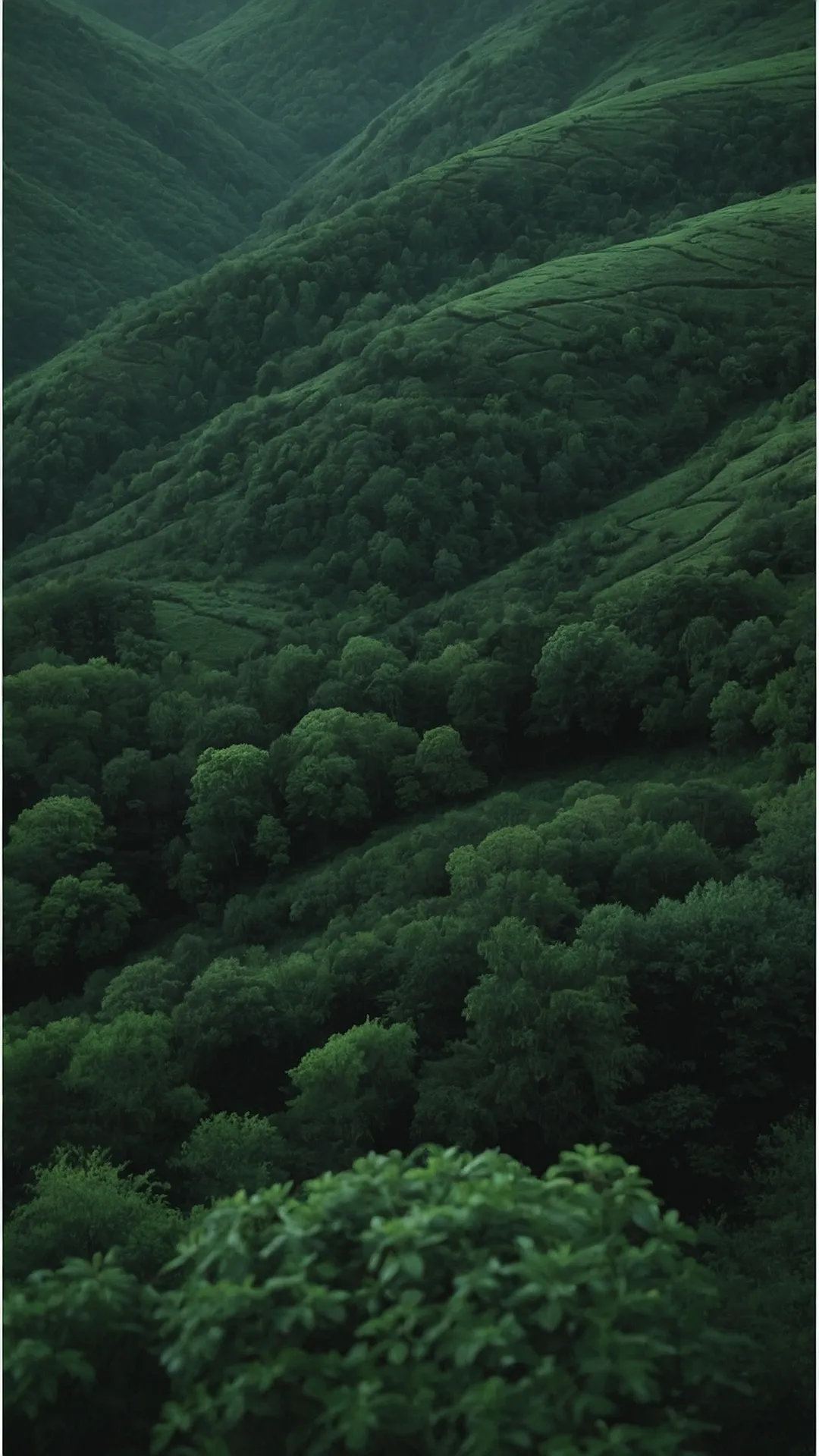 Embrace Nature: 15 Green Aesthetic Wallpaper Ideas for Every Device 35 Emerald Ridge