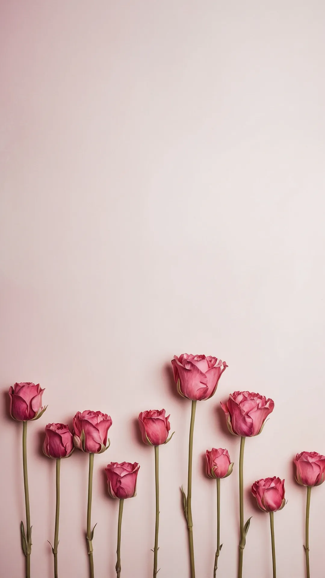 Rose-Tinted Screen Scapes