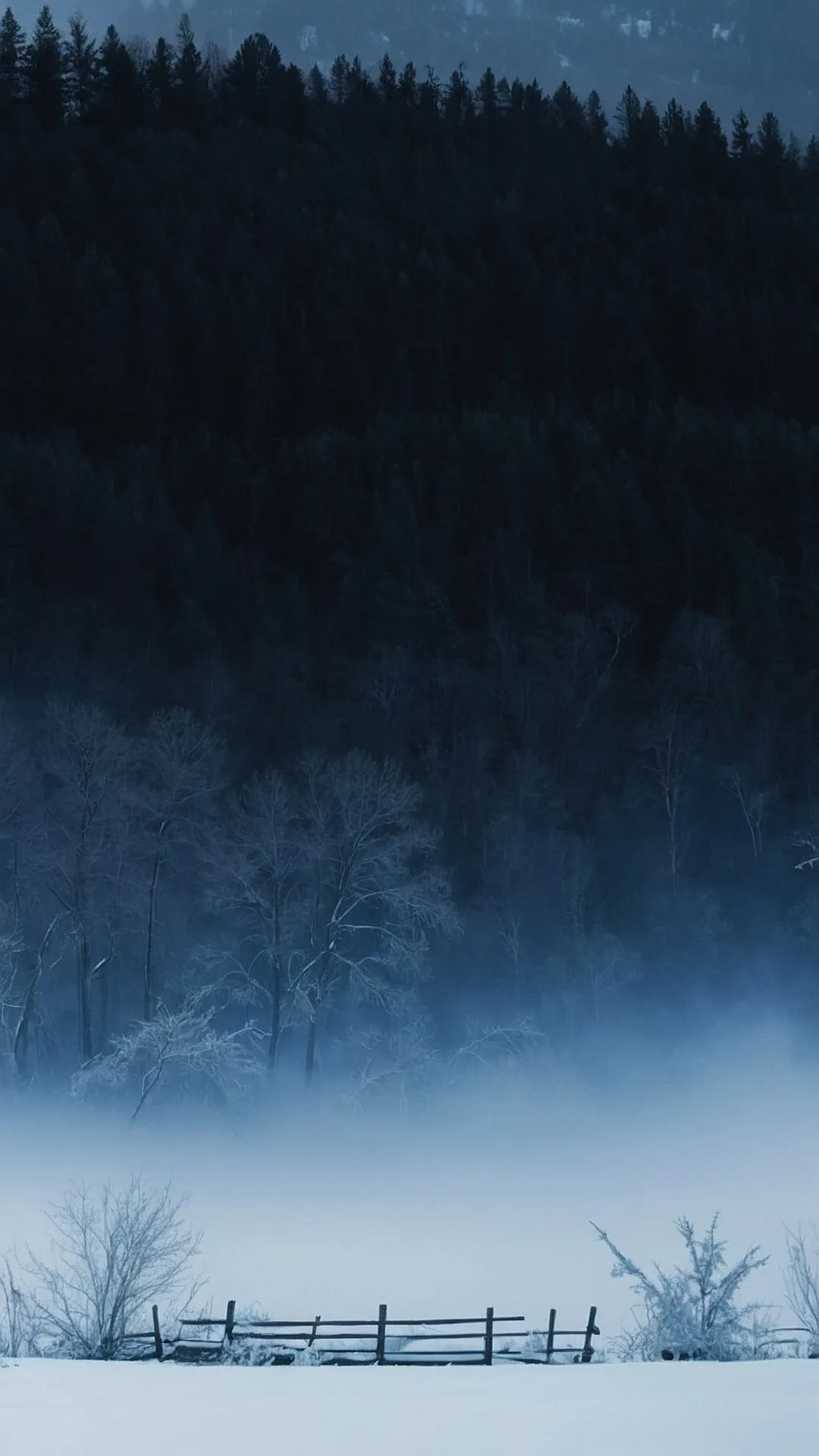 Misty Forest Escape: