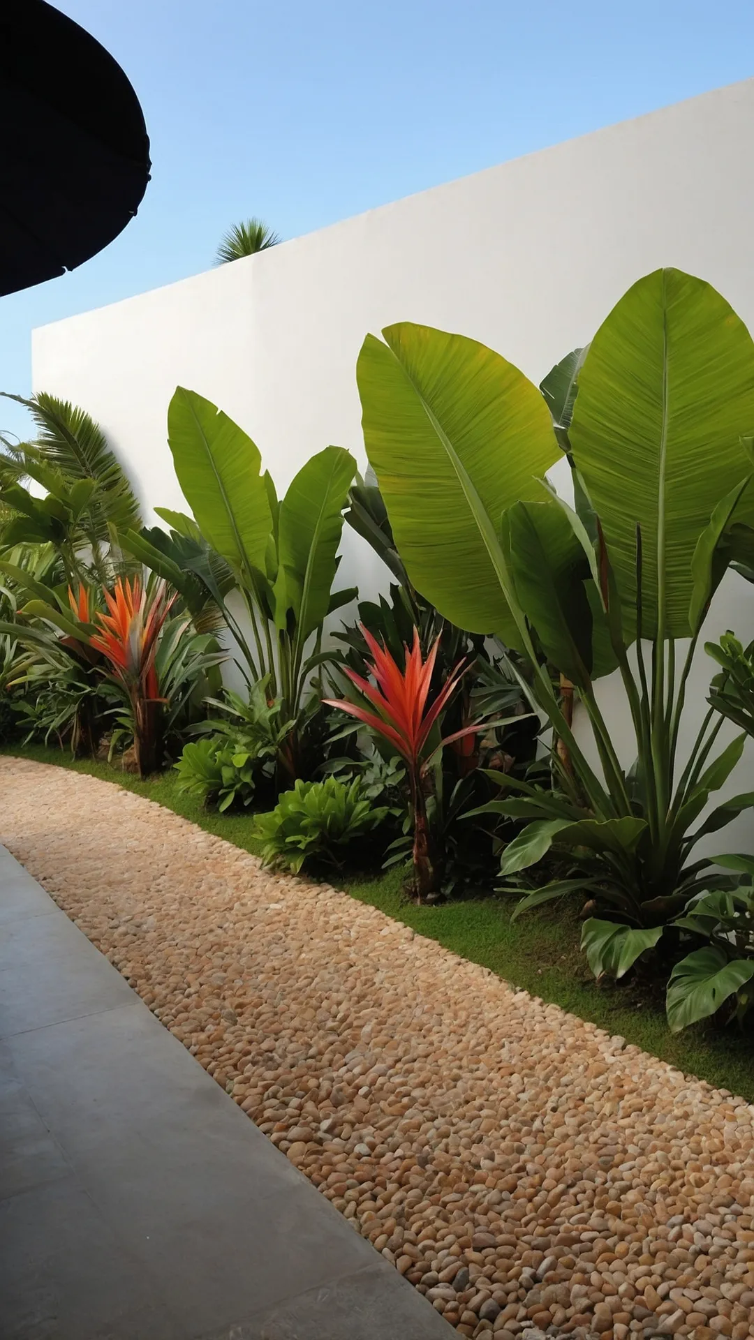 Color Splash Garden