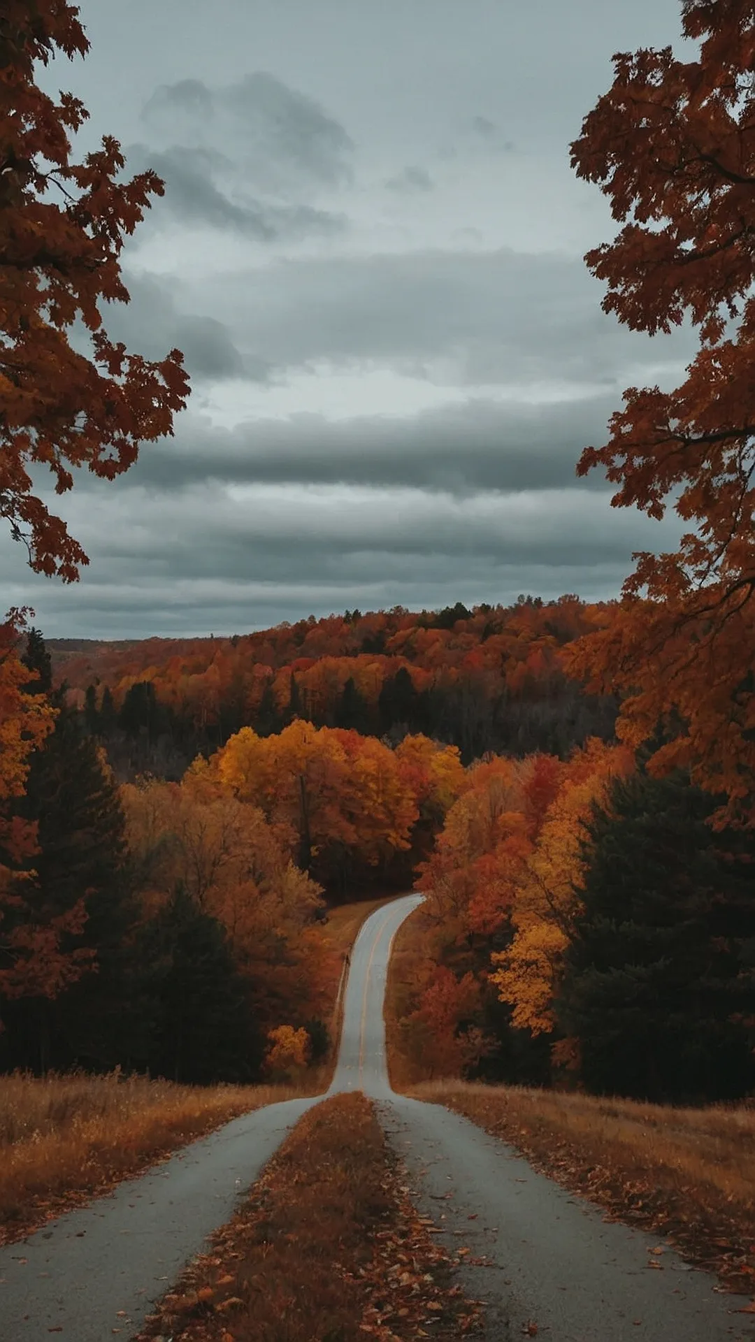 Fall Road Trip Vibes