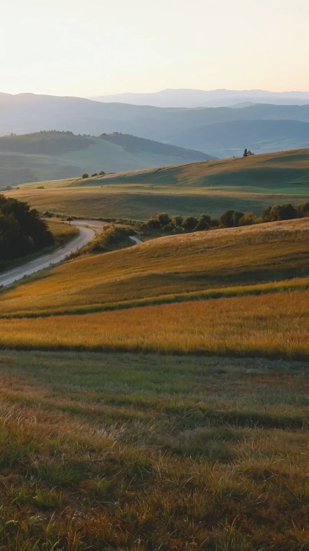 Rolling Hills: