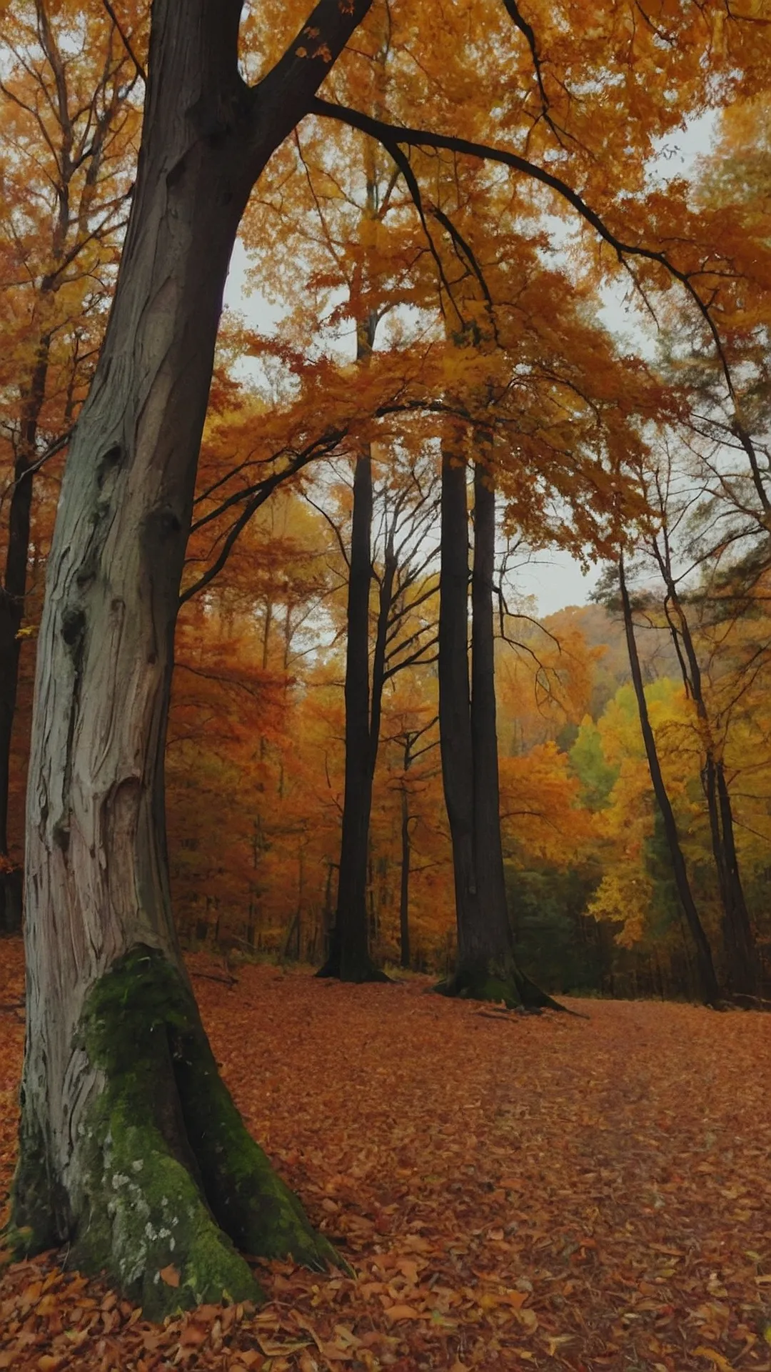 Autumn's Golden Carpet