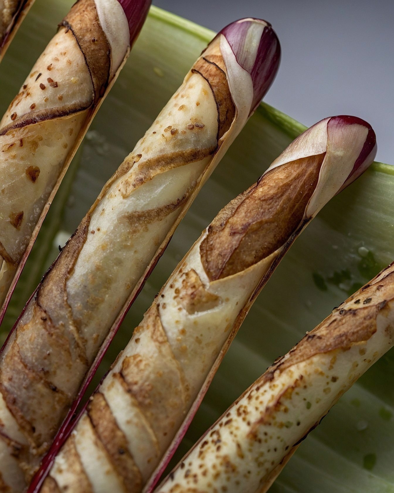 Close-up of Rolled Rhubarb Stalks in Natural Light