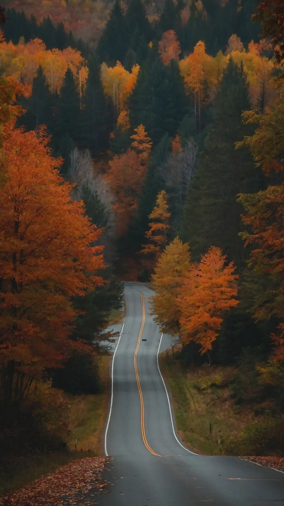 Autumn's River Run