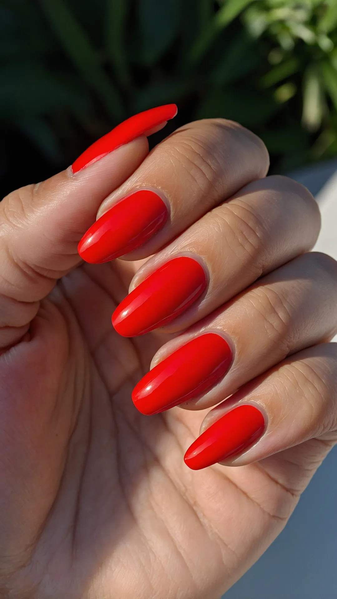 Heatwave Hues