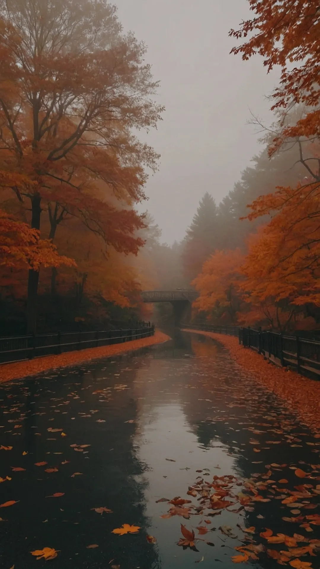 Misty Fall Path