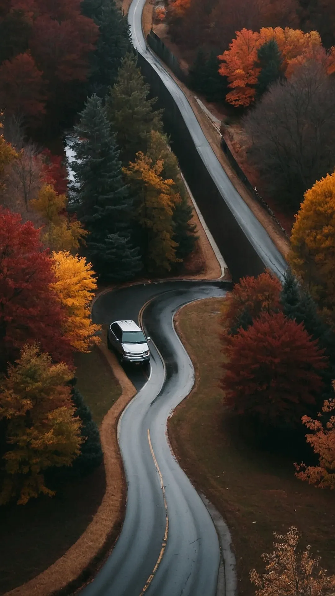 Autumn Drive Through the Woods