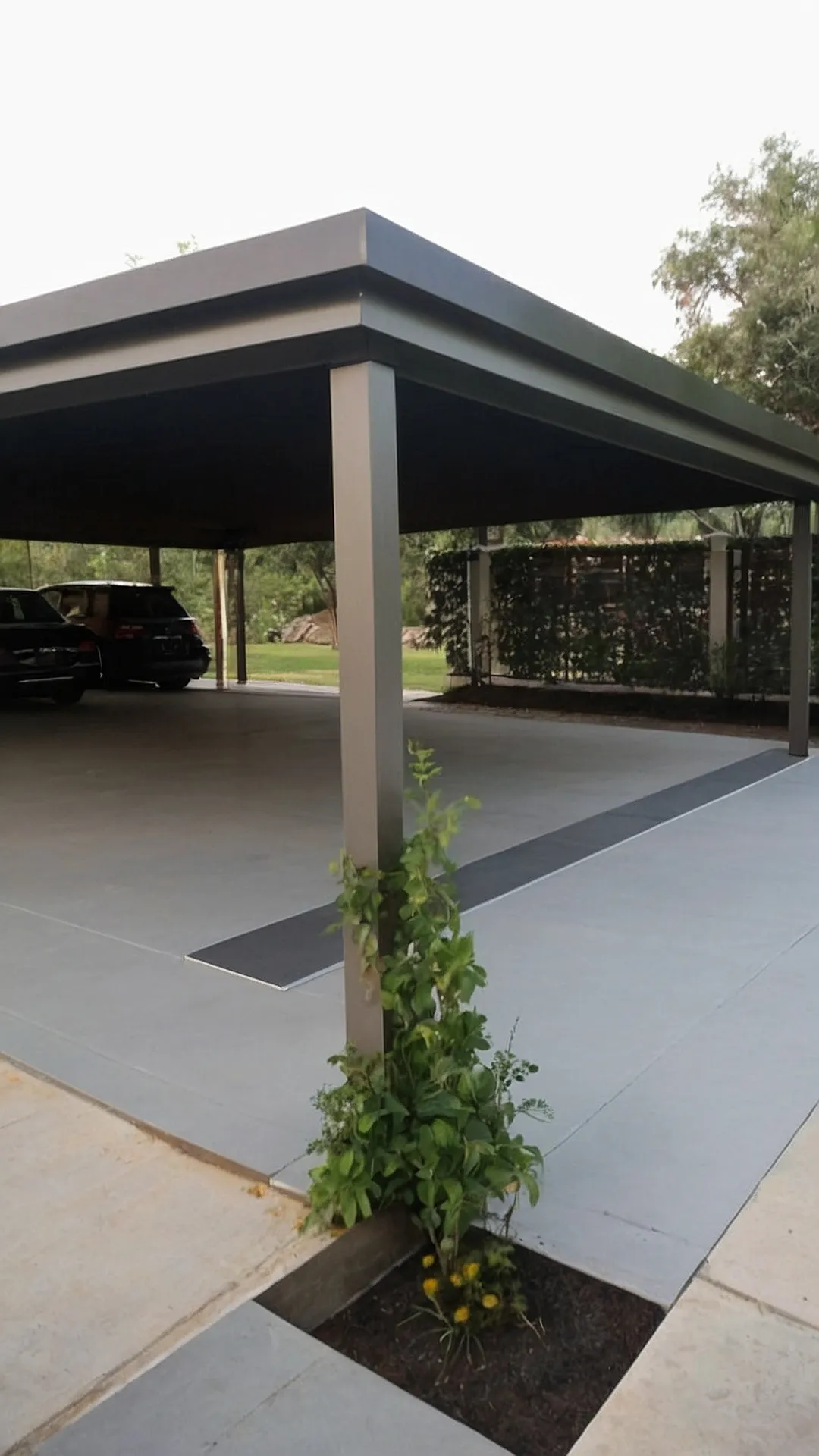 Urban Oasis: Carport Edition