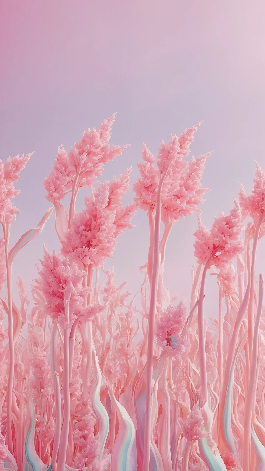 Sugar Coated Walls